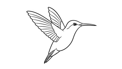 Obraz premium Hummingbird in flight simple line art illustration