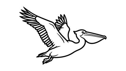 Obraz premium Pelican bird flying in the air