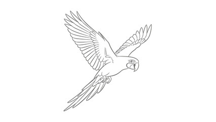 Fototapeta premium Flying parrot in air with outstretched wings