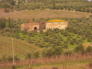 Italia, Toscana, campagna di San Casciano, Firenze.