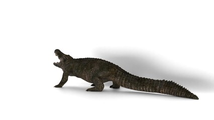 Fototapeta premium american alligator on white background