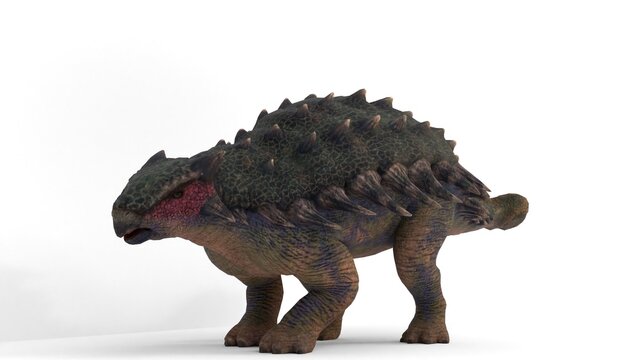 ankylosaurus on white background
