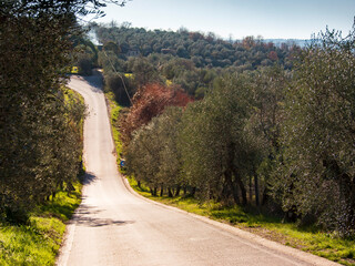 Italia, Toscana, campagna di San Casciano, Firenze.