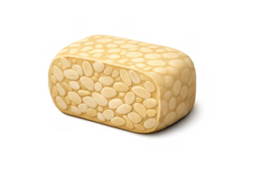 Minimalist tempeh icon design for food packaging and vegan cuisine concepts