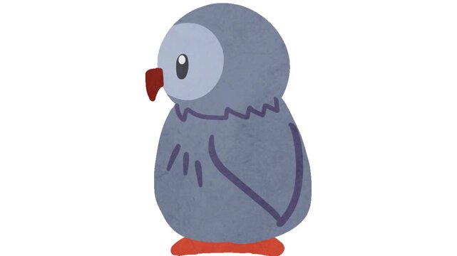 Cute cartoon grey bird with orange feet and beak on a white background