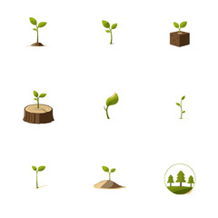 Wood log and tree stump icon set with growth rings and timber elements