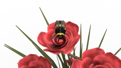 bumblebee on red rose