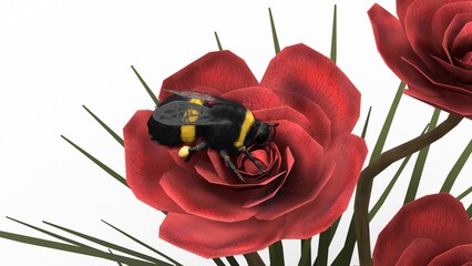 bumblebee on red rose