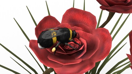 bumblebee on red rose