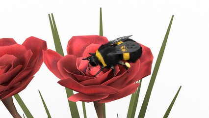 bumblebee on red rose