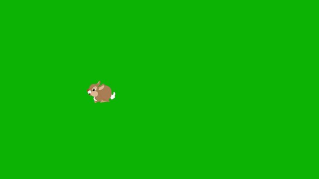 Squirrel Running Animation &ndash; Green Screen. Cute squirrel running fast with playful motion for animal scenes.