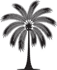 Detailed silhouette of a betel nut tree against a dark background