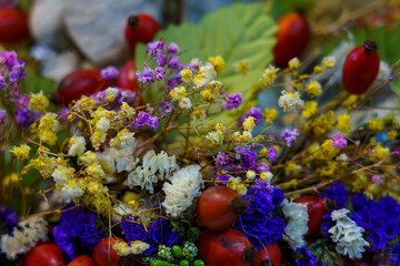 Flowers arranged in a colorful display in nature
