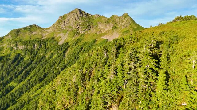 Aerial view of lush green forestation cascading down the rugged mountain ranges under a soft blue sky, Sitka, Alaska, United States.