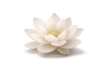 Elegant White Lotus Flower Isolated on transparent background Image