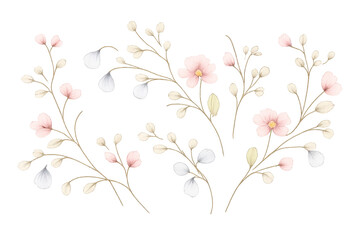 Floral twigs with petals, isolated transparent background illustration