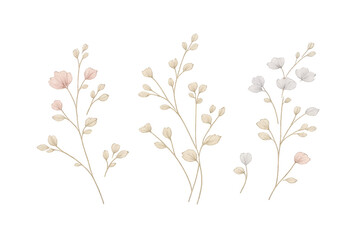 Obraz premium Botanical floral with transparent background elements, elegant style.