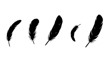 Falling Feather Silhouette Icon