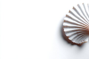 empty background with a copy space to place your concept