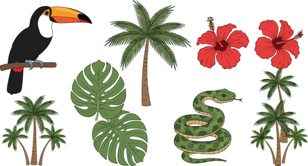 Untitled-1Tropical jungle vector set featuring a toucan bird, palm trees, green monstera leaves, red hibiscus flowers, and a coiled green snake. © MdAbdul