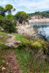 Obraz premium Sequia en el embalse y pinares