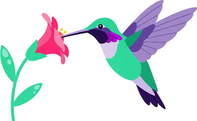 Obraz premium A vibrant hummingbird with iridescent teal and purple plumage drinks nectar from a pink flower