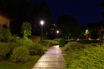 Stone pathway illuminated by lampposts in a lush garden at twilight