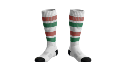 Striped Knee-High Socks Pair