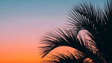 Palm fronds silhouette against sunset sky