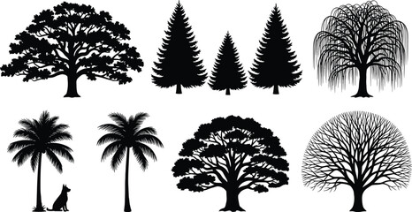Tree silhouette collection with diverse species, coniferous, palm, willow, leafless, broadleaf, nature elements for design use - flat vector illustrationTree silhouette  - flat vector illustration