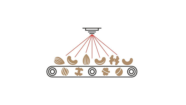 A stylized illustration features various nut types on a conveyor belt being scanned by a device, showcasing technology