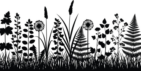 Wild meadow grass and fern silhouette border, dandelion flower field background, nature botanical collection, cad drawing flat vector illustration © Momotaj