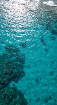 Underwater Coral Reef View with Turquoise Water and Sunlight.