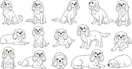 Fototapeta premium Set of adorable cocker spaniel dog illustrations in various poses