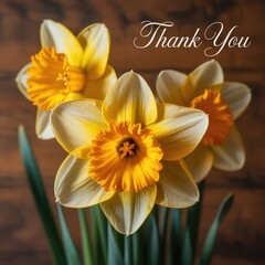 Beautiful bright yellow daffodils with green leaves on wooden background