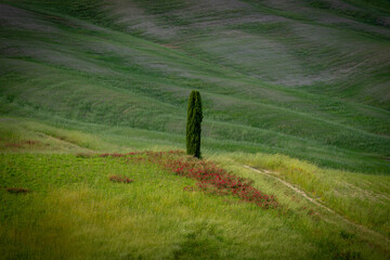 Landscapes in the Orcia Valley, Tuscany, Italy.