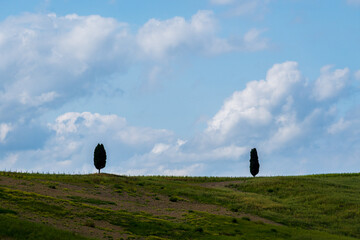 Landscapes in the Orcia Valley, Tuscany, Italy.