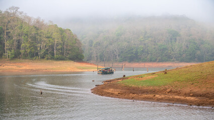 Periyar National Park in India, lake with forest, fog in the morning, wildlife Sanctuary, Idukki and Pathanamthitta in Kerala, watershed Pamba