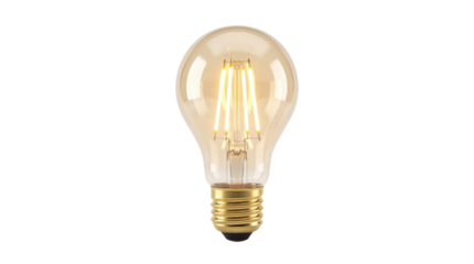 Lit Amber Glass LED Filament Light Bulb with Brass Base isolated PNG with Transparent Background