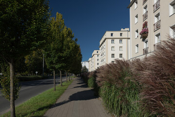 
MODERNIST CITY - Classic architecture buildings among greenery on a city street