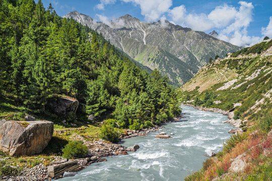 Baspa river flanked by woodland and Himalaya under blue sky. Chitkul, India.