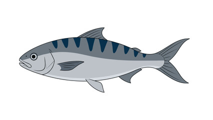 Fototapeta premium Detailed side profile illustration of a mackerel fish with blue stripes on its back and silver belly isolated on a clean white background for study.