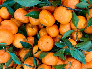 fresh orange tangerines with green leaves at a market