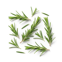 Obraz premium Fresh rosemary sprigs scattered across a clean white surface