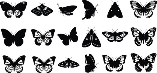 Fototapeta premium butterfly moth silhouette insect wings nature illustration collection set