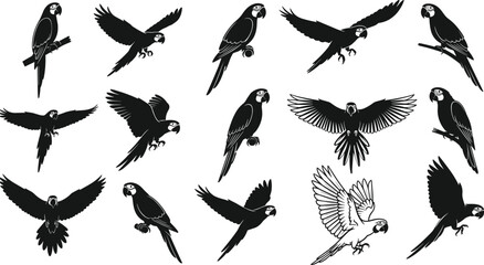 Obraz premium parrot macaw bird silhouette flying tropical wildlife illustration set