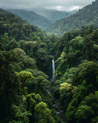 Lush green forest with waterfall in misty mountainside landscape