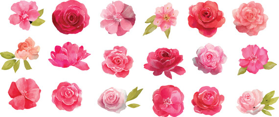 watercolor rose flower set