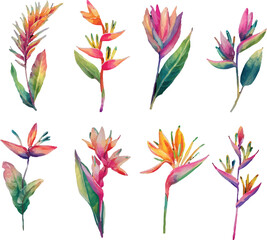 vector set of colorful flowers