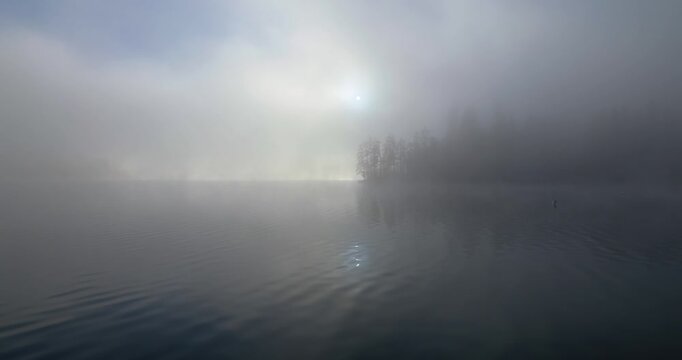 Gegen&uuml;berliegendes Ufer mit dichter Baumreihe im goldenen Morgennebel, ruhige Wasserfl&auml;che im Vordergrund, Sonnenstrahlen brechen durch den Dunst und erzeugen weiches Licht in reduzierter Landschaft
